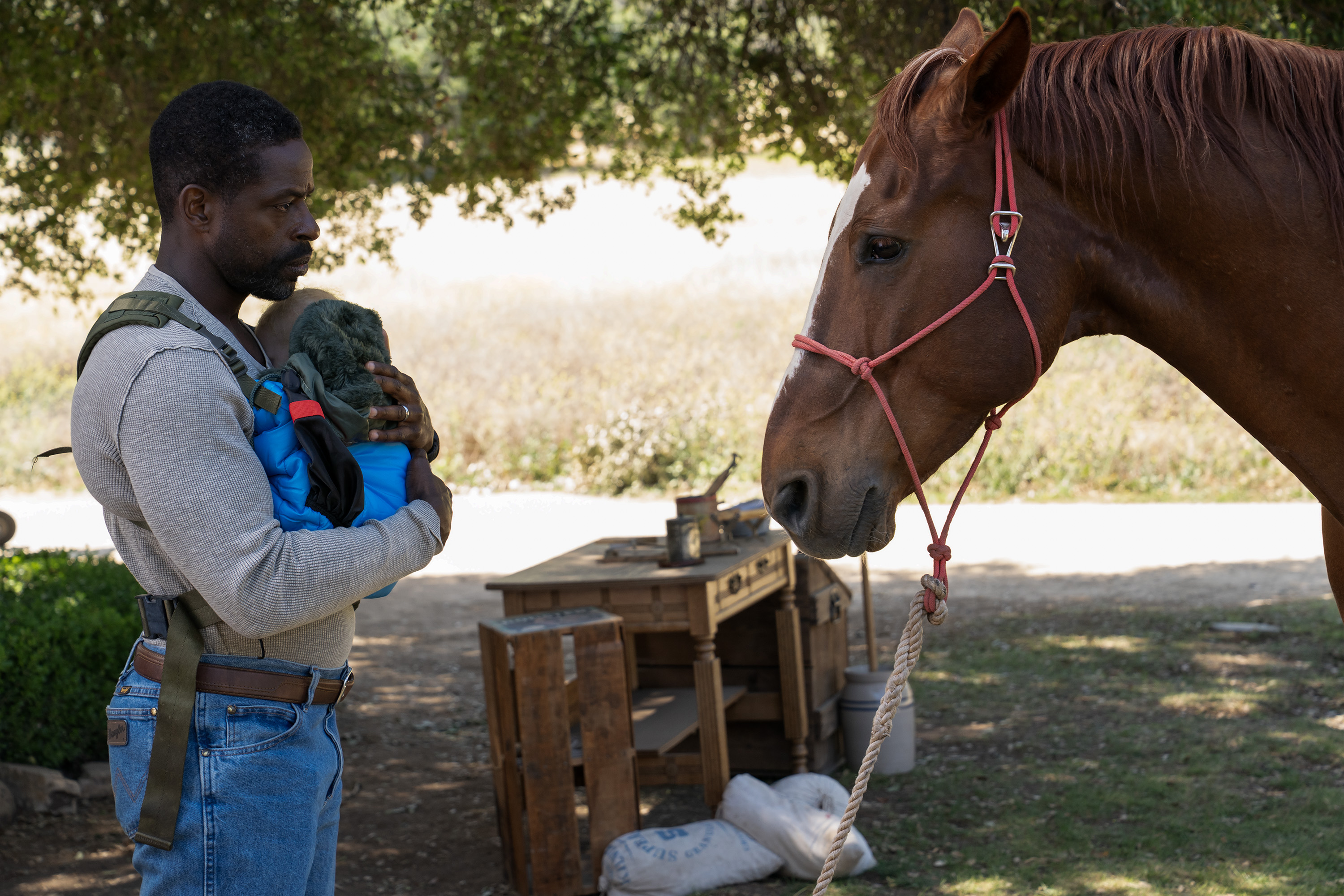 Paradise Season 2 Screenshot